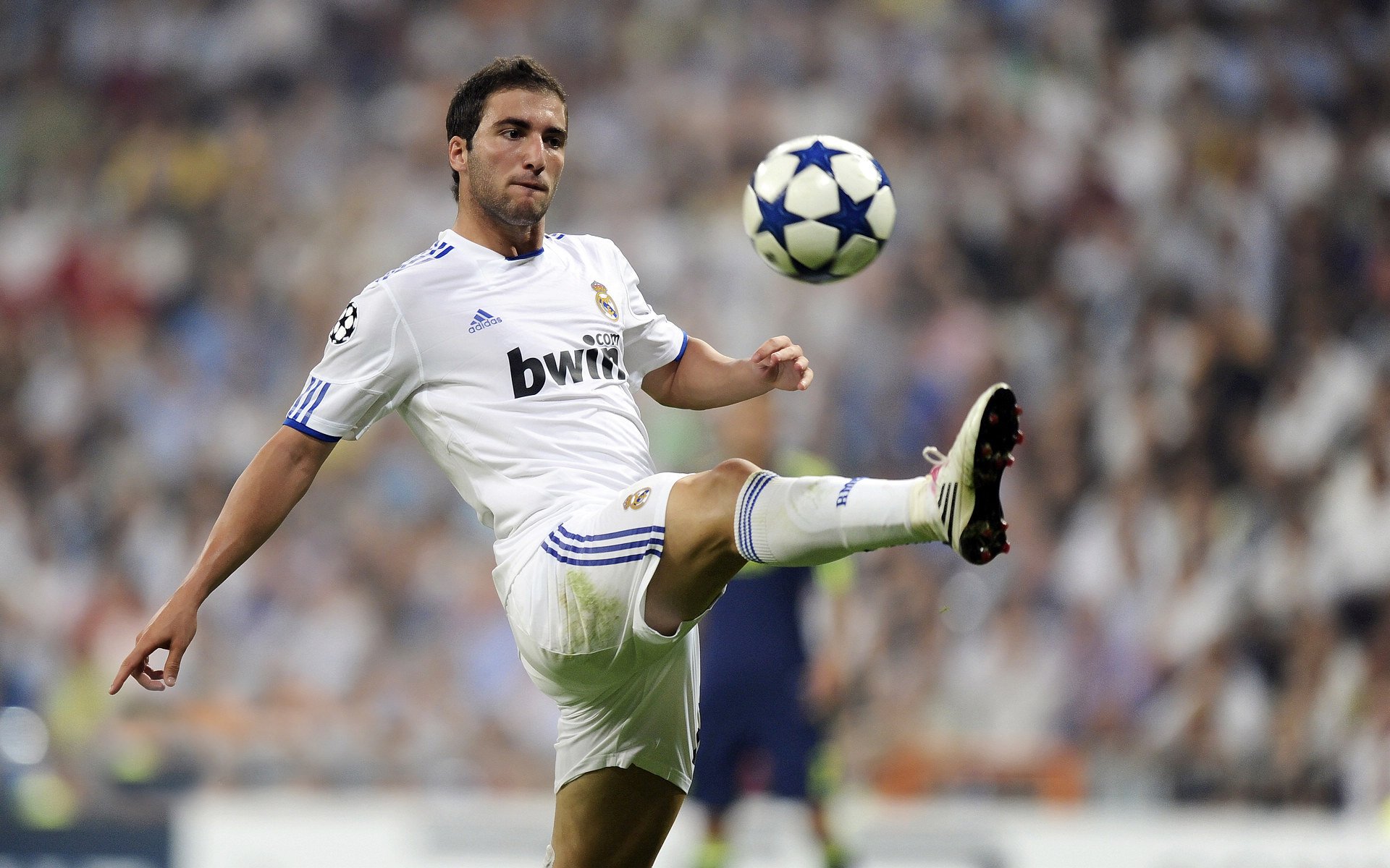 各路豪强在赛场上搏杀，展现出强大竞技实力，各路豪杰是什么意思